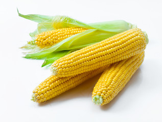 ear of corn on  white background