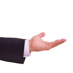 Business man with empty hand