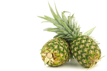 two fresh pineapple fruits on a white background