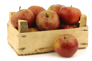 Traditional Dutch apples called "goudrenet"
