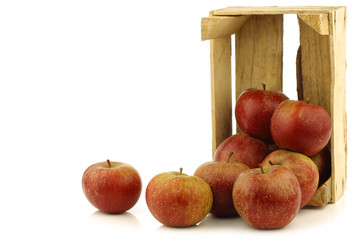 Traditional Dutch apples called "goudrenet"