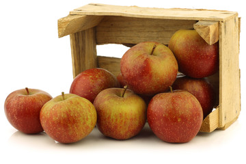 Traditional Dutch apples called 