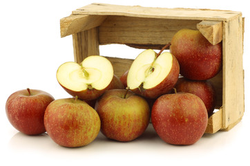 Traditional Dutch apples called "goudrenet"