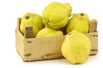 fresh quince fruits "Cydonia oblonga" in a wooden crate