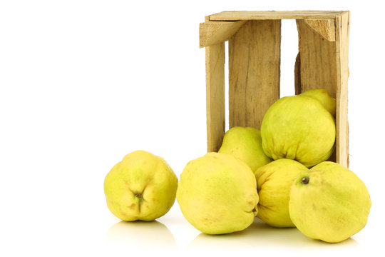 Fresh Quince Fruits 