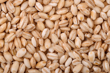 Pearl barley