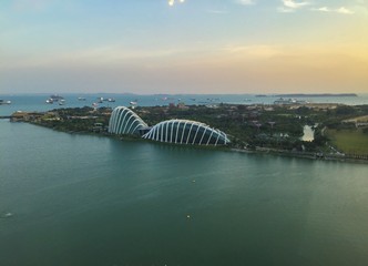 Singapore flyer gardens by the bay view