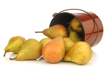 cooking pears "Gieser Wildeman" in a enamel pot 