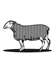 SHEEP pattern material
