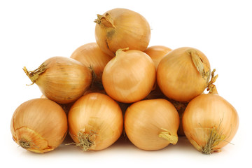 fresh onions on a white background