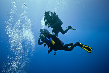 Fototapeta na wymiar Divers on the blue background