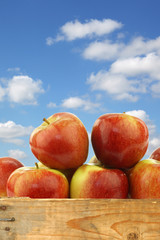 bunch of braeburn apples in a wooden crate