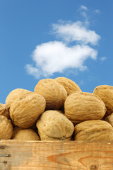 walnuts in a wooden crate against a blue sky with clouds