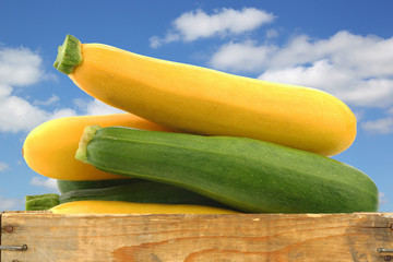 mixed yellow and green zucchini's in a wooden crate