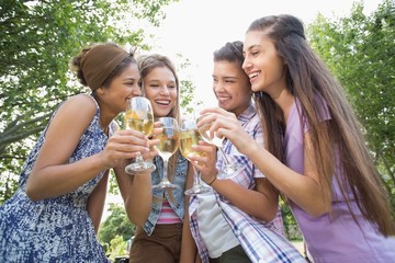 Fototapeta premium Happy friends in the park having wine