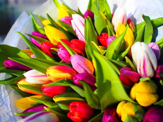 Tulpenstrauß