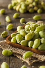 Raw Fresh Organic Green Garbanzo Beans