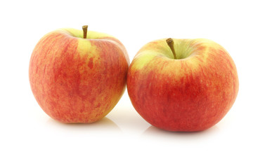 Fototapeta na wymiar New Dutch apple variety called 
