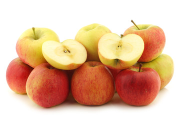 New Dutch apple variety called 
