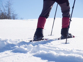 The man in snowshoes.