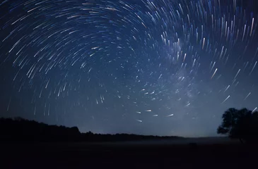 Fototapete Rund schöner Nachthimmel, spiralförmige Sternenpfade und der Wald © snike