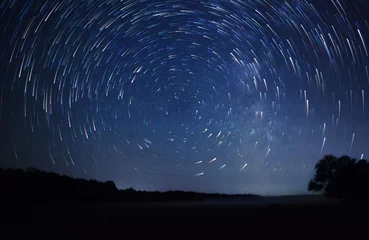 Abwaschbare Fototapete Nacht ein wunderschöner Nachthimmel, Milchstraße, Sternenspuren und die Bäume