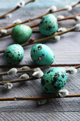 Obraz premium Bird colorful eggs in nest and pussy willow branches