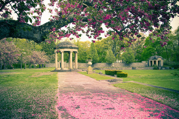 Pastel tone garden with cherry blossoms and gazebo