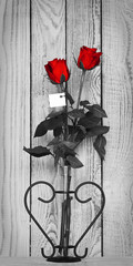 zwei rote Rosen © Anselm Baumgart