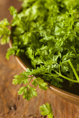 Raw Organic French Parsley Chervil