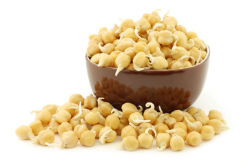 sprouted chick peas in a brown bowl on a white background