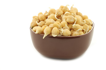 sprouted chick peas in a brown bowl on a white background