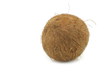Whole coconut on a white background