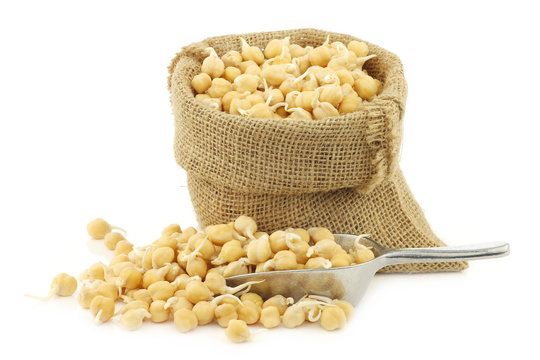 sprouted chick peas in a burlap bag on a white background