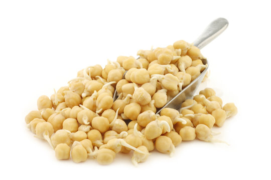 sprouted chick peas in a brown bowl on a white background