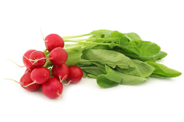 red radish on a white background