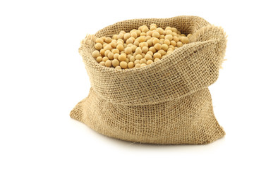 soy beans in a burlap bag on a white background