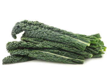 Palm Cabbage 