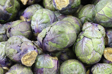 Fototapeta na wymiar purple brussel sprouts background