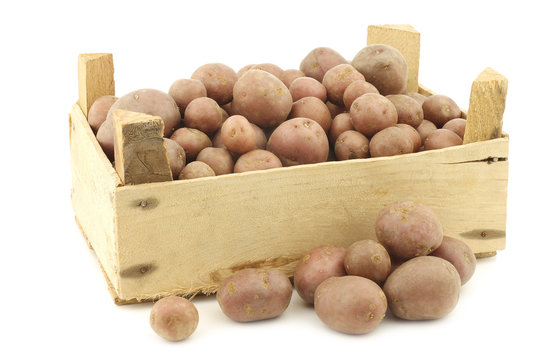 Cherry potatoes (small dutch potatoes) in a wooden crate on a wh
