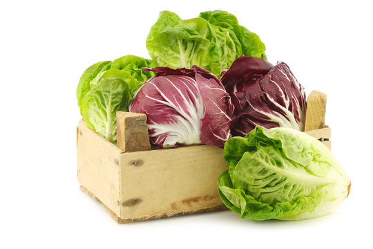 red "radicchio" lettuce and green "little gem"lettuce in a woode