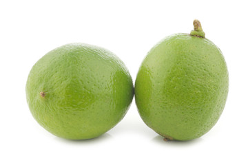 lime fruits on a white background