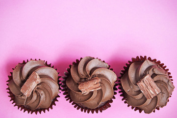 Chocolate cupcakes