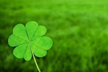 Composite image of four leaf clover