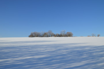Schnee, Bäume, Insel, Schatten