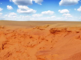 Fotobehang desert landscape © Željko Radojko