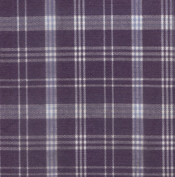 Plaid Fabric Texture