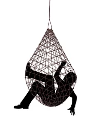 Deurstickers Net trap © Adrian Hillman