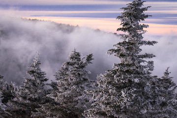 Appalachian Mountains In The Winter 7