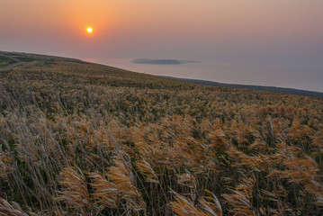 天売島の夜明け